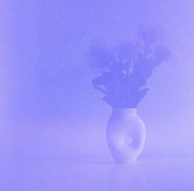 Adele Yiseol Kenworthy, the durational performance of cut flowers