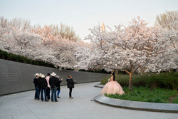 Kaitlin Jencso, Cherry Blossom Quinceañera
