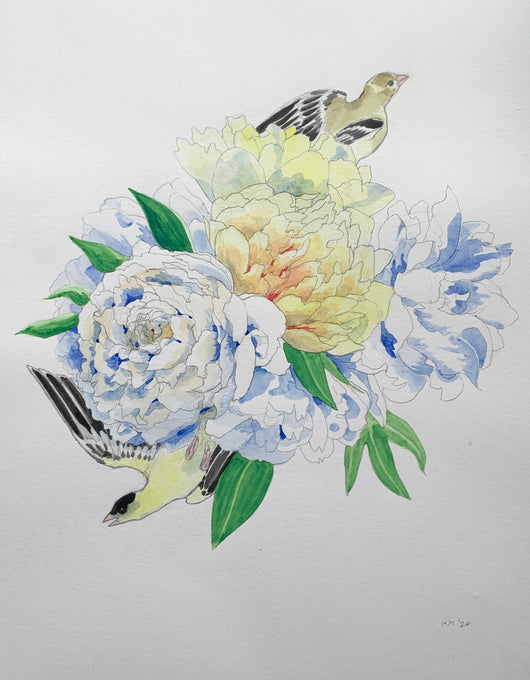 Haley McKey, Goldfinches and Peonies Study