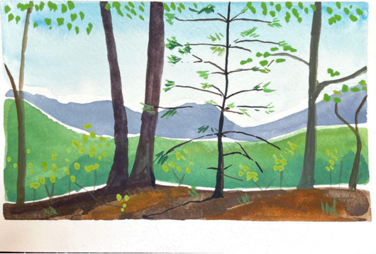 Katherine Knight, Late Summer on the Ridge