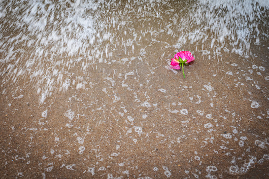 Sara Stadtmiller, Nina Love II