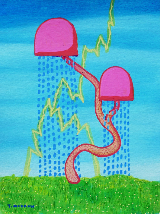 Theo Morrow, Summer Storm Bonsai