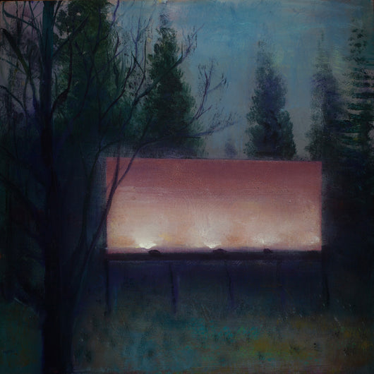 Trevor Young, Signage in the Night