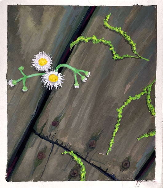 Katherine Knight, Oak Wiggles on the Deck