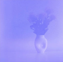 Adele Yiseol Kenworthy, the durational performance of cut flowers