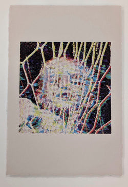 Rob Balsewich, Pretereidetic Autotransposition