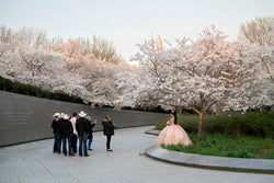 Kaitlin Jencso, Cherry Blossom Quinceañera