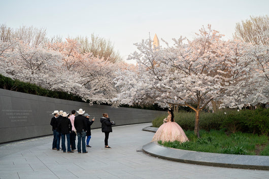 Kaitlin Jencso, Cherry Blossom Quinceañera