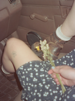 Lindsay Bottos, Flowers in Adam’s Truck