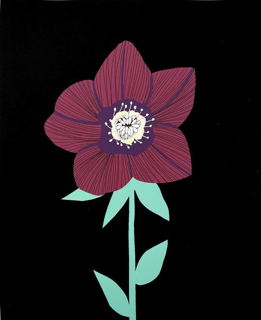 Heidi Phelps, Hellebore