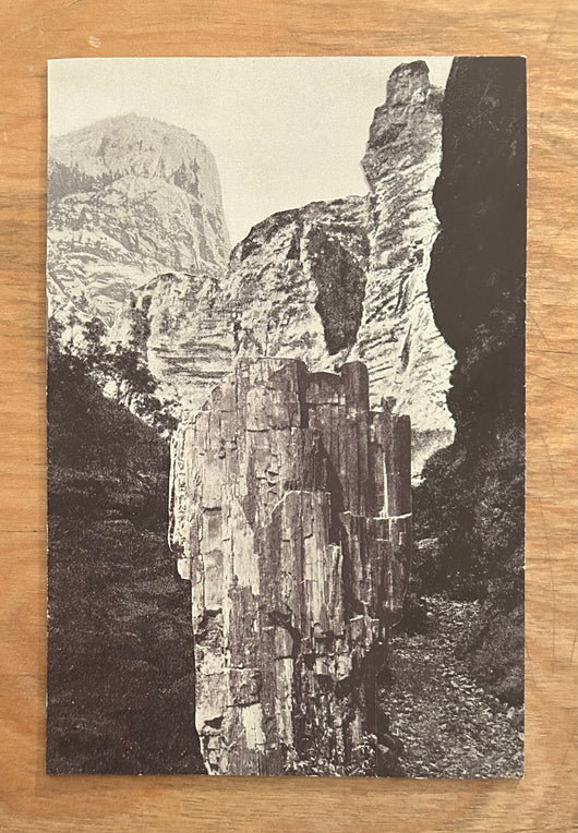 Katana Lippart, The Divide