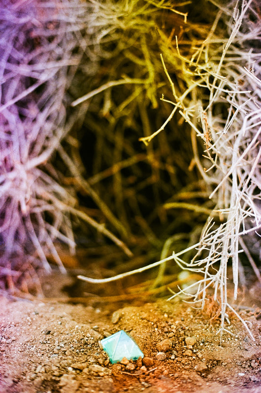 Jessica Cebra The desert is my ocean floor No. 23