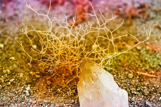 Jessica Cebra The desert is my ocean floor No. 24