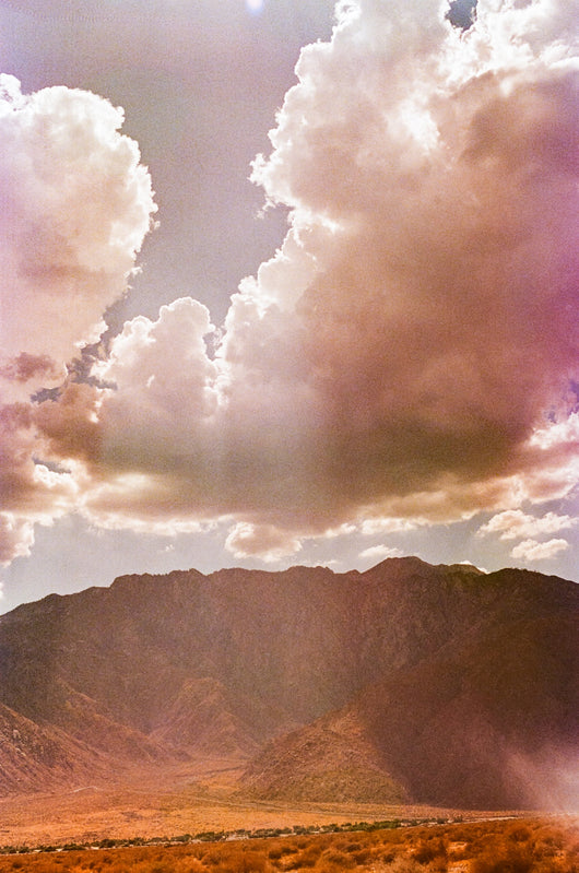 Jessica Cebra The desert is my ocean floor No. 28