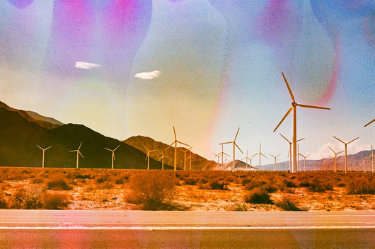 Jessica Cebra The desert is my ocean floor No. 29
