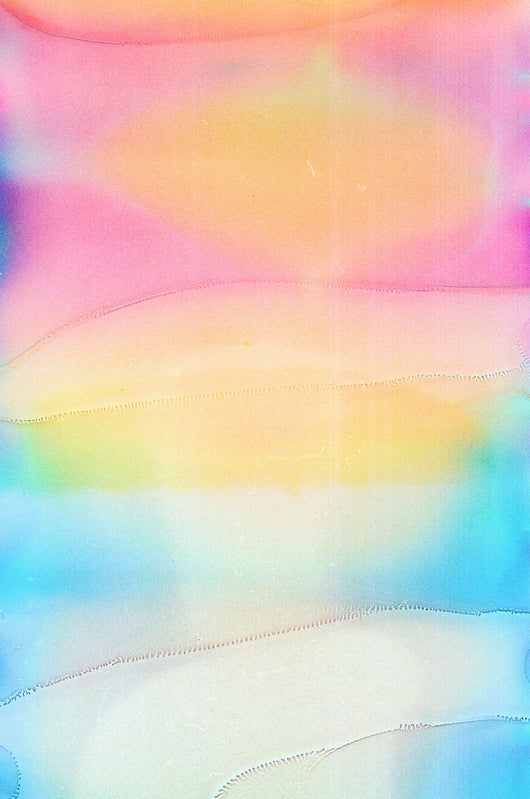 Jessica Cebra The desert is my ocean floor No. 32