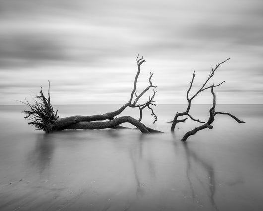 Allen Russ, Drifting Oak