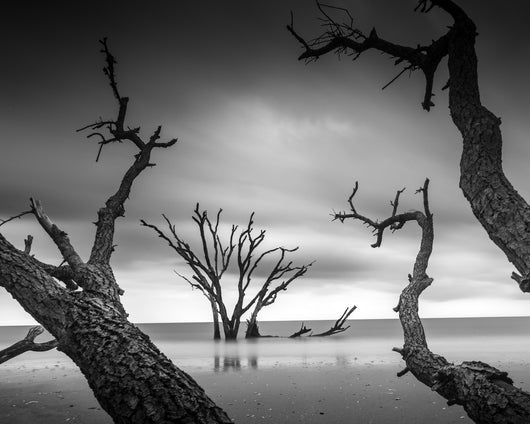 Allen Russ, Remnants