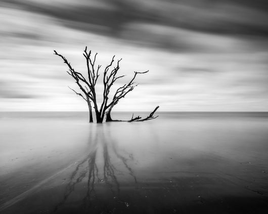 Allen Russ, Solitude Oak