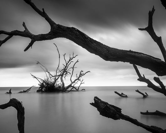 Allen Russ, Vestige