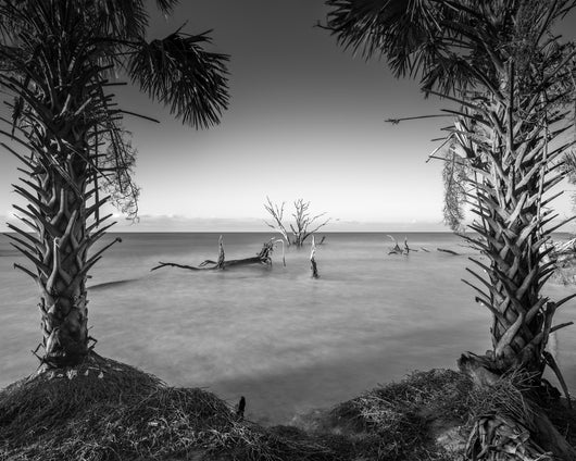 Allen Russ, Palmetto Gate