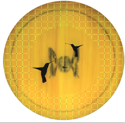 Joan Belmar, Volare (Hummingbirds)