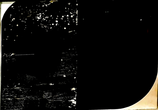 Joan Belmar, Caravaggio Negras