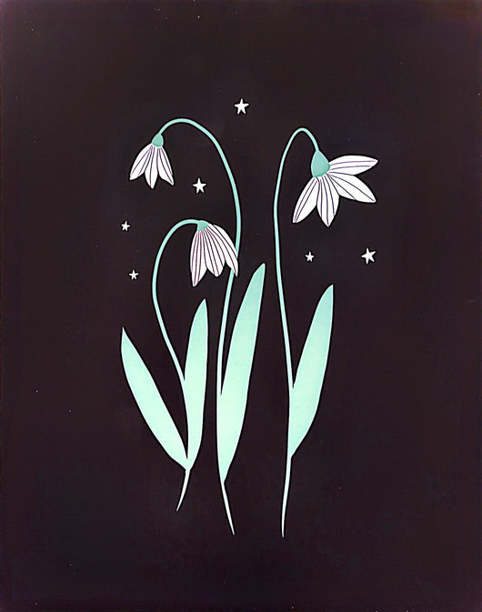 Heidi Phelps, Snowdrop