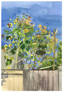 Lindsay Mueller, Sunflowers