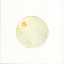 Jenny Walton, Tiny Tondo 60