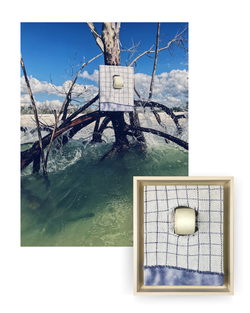 Noël Kassewitz, Guaranteed to Float!* IV with documentation photo Left High & Dry