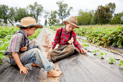 Hatnim Lee, Marvin and Aaron with a chick on the farm