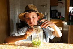 Hatnim Lee, Marvin and glass jar