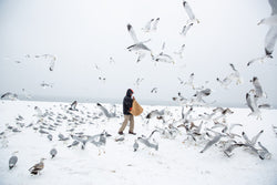 Hatnim Lee, Man feeding birds on Brighton Beach in snowstorm