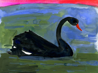 Elizabeth Graeber, Black Swan