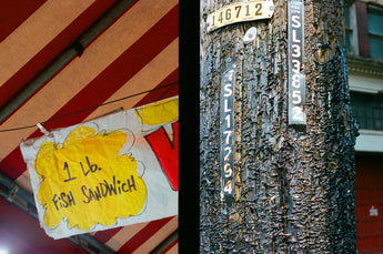 Cynthia Connolly, Fish Sandwich, Pittsburgh, Pennsylvania, 9-8-2013 (E-Z U-Frame-It series)
