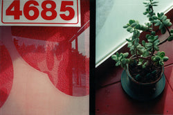 Cynthia Connolly, Store Window, Los Angeles, CA, 3-2000 (E-Z U-Frame-It series)