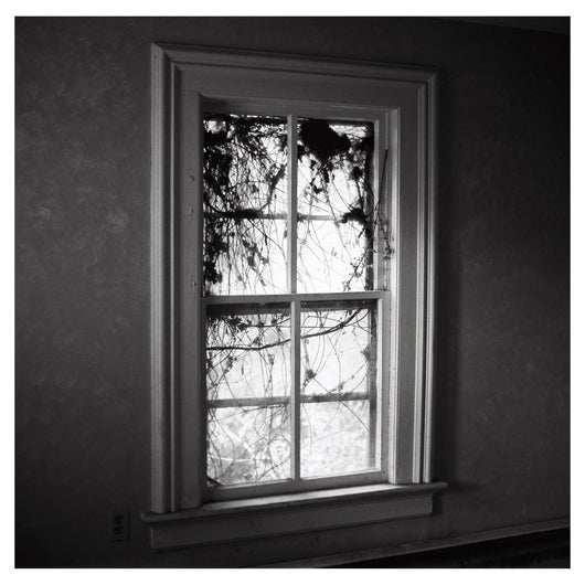 Nick Abriola, Abandoned Mansion Window