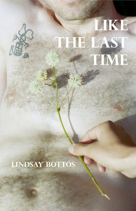 Lindsay Bottos, Like the Last Time
