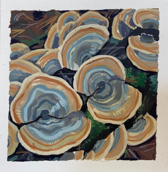 Katherine Knight, Turkey Tails